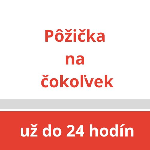 rychla pozicka - www.ovrenepozicky.sk - obrazok web 1ab<br />
